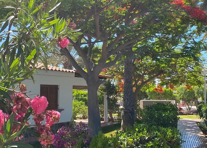 Rosa Golf