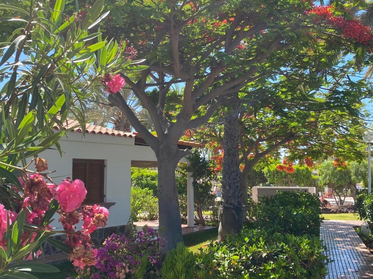 Rosa Golf Maspalomas (Gran Canaria)